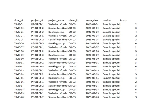 Preview of Tern Client Services: Timesheet export workbook