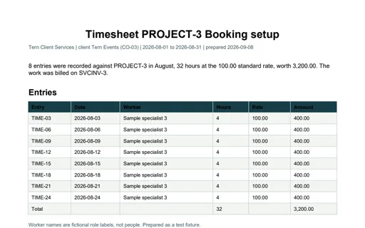 Preview of Tern Client Services: Project timesheet PDF