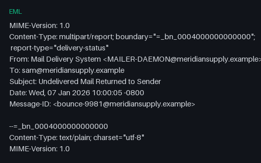 Preview of Bounce / Non-Delivery Report (EML)