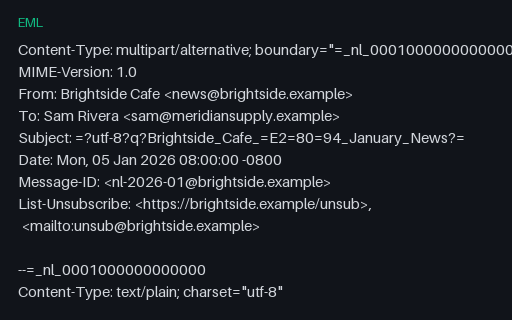 Preview of HTML Newsletter Email (EML)