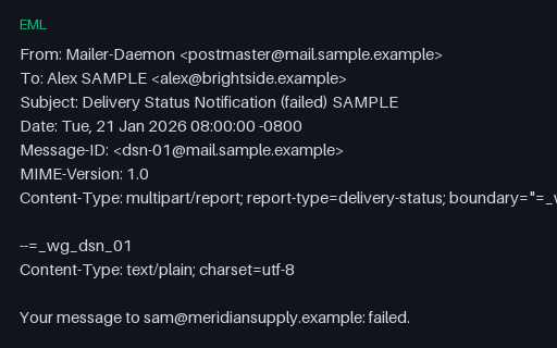 Preview of EML: DSN Failed SAMPLE