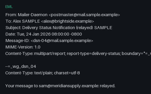 Preview of EML: DSN Relayed SAMPLE