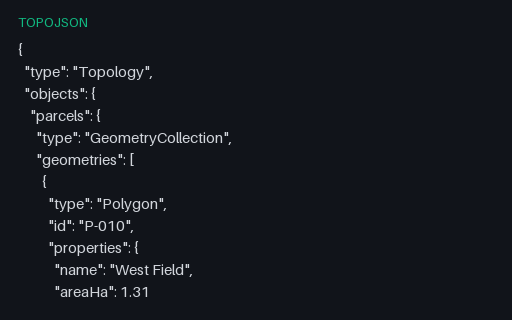 Preview of TopoJSON: Two Parcels Sharing One Arc