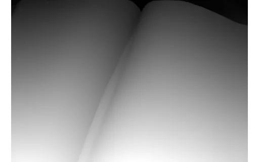 Preview of D ledger: depth map