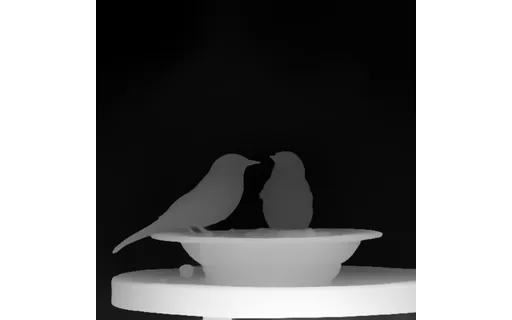 Preview of N birds feed: depth map