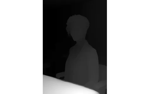 Preview of Owner salon: depth map