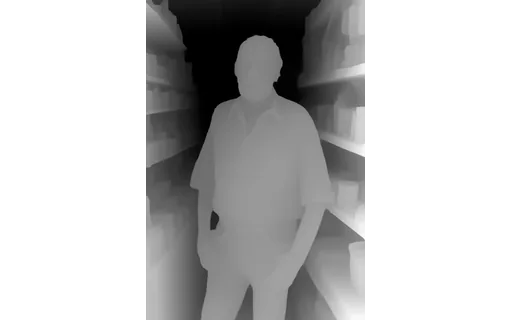 Preview of Owner shop: depth map