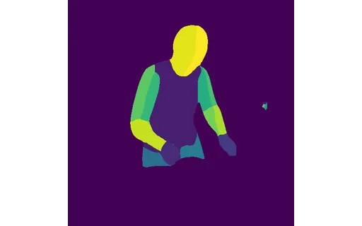 Preview of P baker young: dense pose map