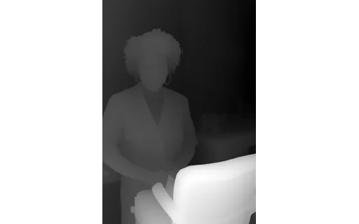 Preview of P salon mid: depth map