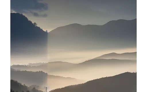 Preview of C book nature: expanded canvas