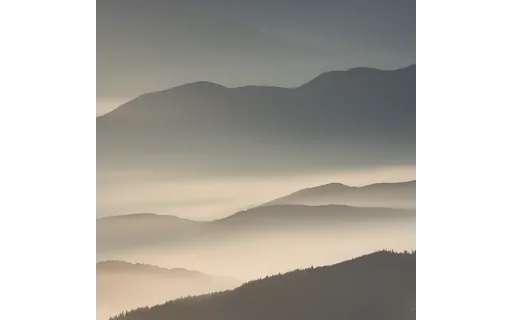 Preview of C book nature: frame before expansion