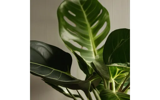 Preview of Pr plant pot: frame before expansion