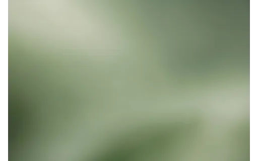 Preview of Soft blurred abstract background (JPEG q90)