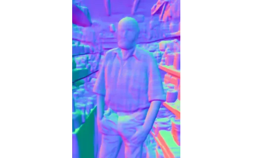 Preview of Owner shop: surface normal map