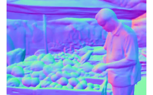 Preview of P market sen: surface normal map