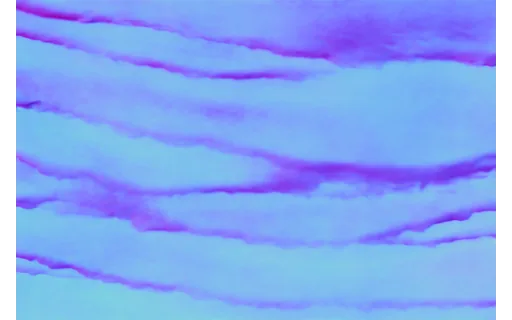 Preview of T tex paper2: surface normal map