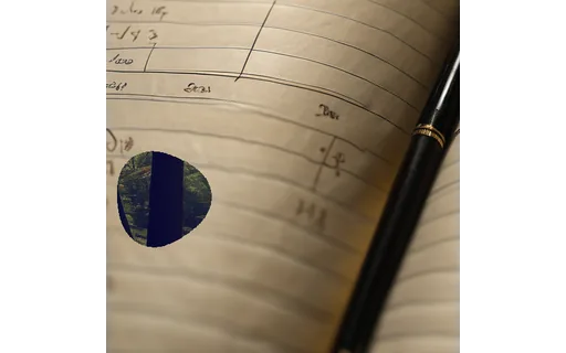 Preview of D ledger: object composited in