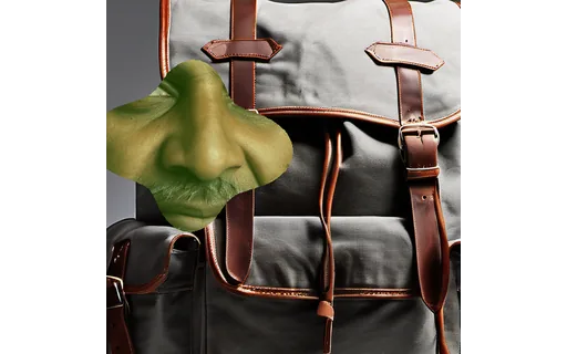 Preview of Pr backpack: object composited in
