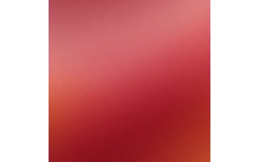 Preview of T grad warm: clean plate (ground truth)