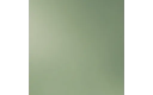 Preview of T ph soft3: clean plate (ground truth)