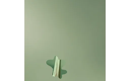 Preview of T ph soft3: object composited in