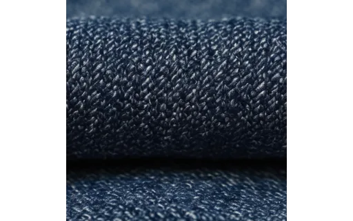 Preview of T tex denim: clean plate (ground truth)