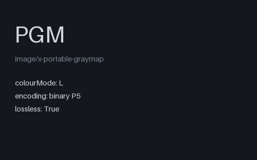 Preview of Overhead plate of fresh pasta with (pgm binary)