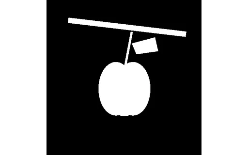 Preview of Apple: Ground-Truth Alpha Mask (512px)