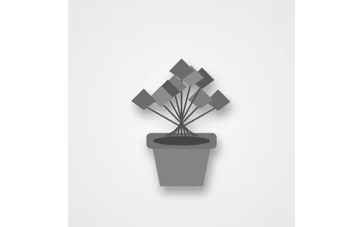 Preview of Colourization Input: Plant Greyscale (512px)