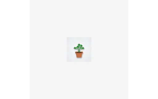 Preview of Outpaint Input: 192px Empty Border (512px)