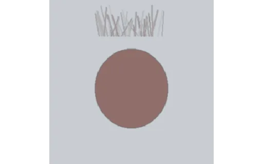 Preview of Matting: Hair Strands Clean RGB (288px)