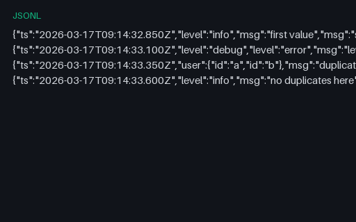 Preview of Structured Log: Duplicate Keys in One JSON Object (jsonl)