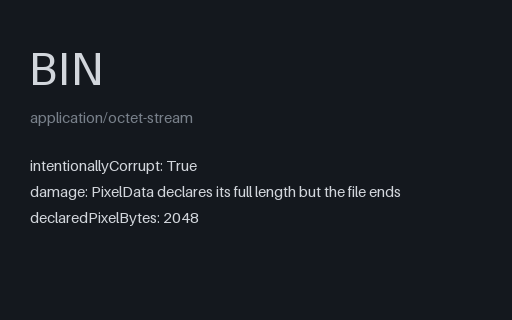 Preview of Intentionally Corrupt DICOM-Shaped File: Pixel Data Truncated (.bin)