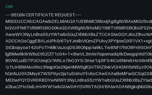 Preview of SAMPLE CSR: RSA with SAN