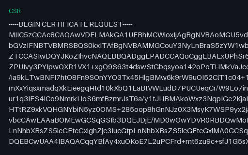 Preview of SAMPLE CSR: Wildcard