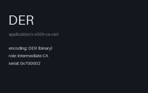 Preview of SAMPLE Intermediate CA Certificate (DER)