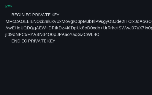 Preview of SAMPLE EC P-256 Private Key: SEC 1