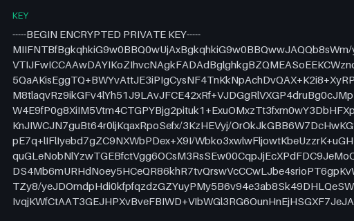 Preview of SAMPLE RSA Private Key: PKCS#8, Encrypted