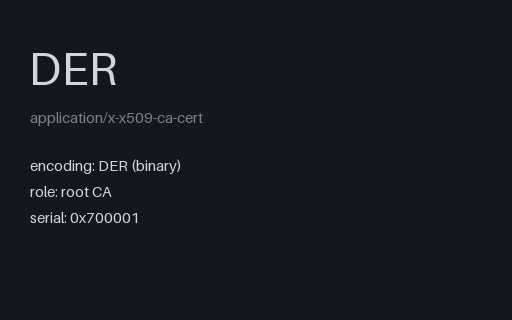 Preview of SAMPLE Root CA Certificate (DER)