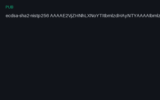 Preview of SAMPLE OpenSSH Public Key: ECDSA P-256