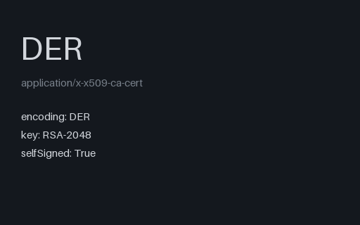 Preview of X.509 Certificate (DER): Security SAMPLE