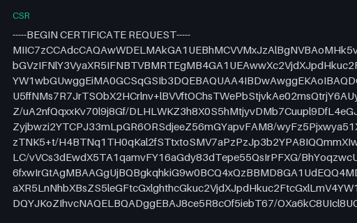Preview of PKCS#10 CSR: Security SAMPLE