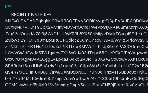 Preview of RSA-2048 Private Key (PEM): SAMPLE