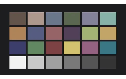 Preview of Colourisation Input: colour-patches, 50% Desaturated