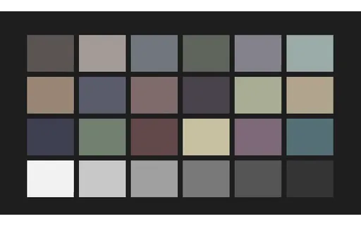 Preview of Colourisation Input: colour-patches, 80% Desaturated