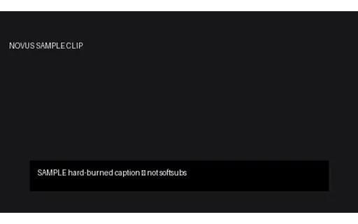 Preview of MP4: Hard-Burned Caption