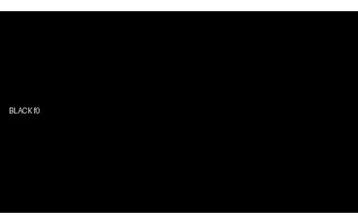 Preview of MP4: Black Flash Frames