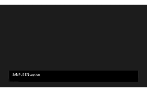Preview of MP4: Hard-Burned Caption (EN)