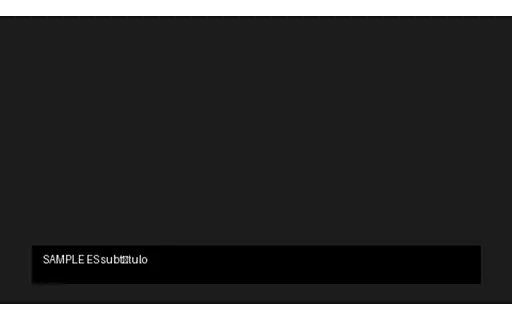 Preview of MP4: Hard-Burned Caption (ES)