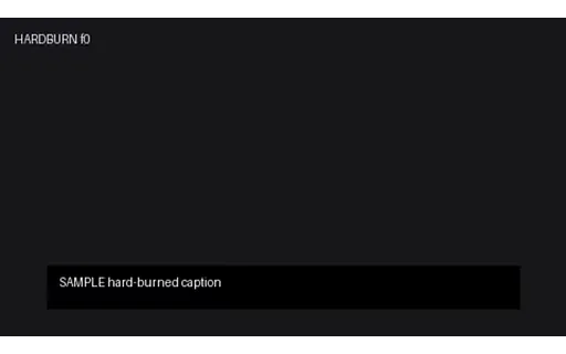 Preview of MP4: Hard-Burned Caption Twin